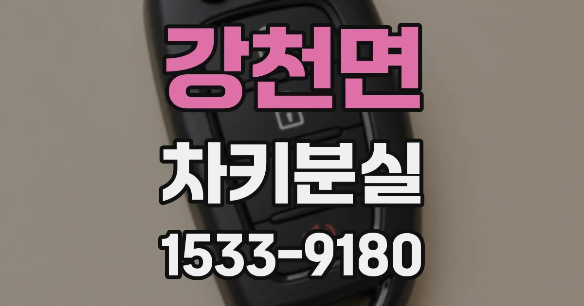 강천면 차키분실