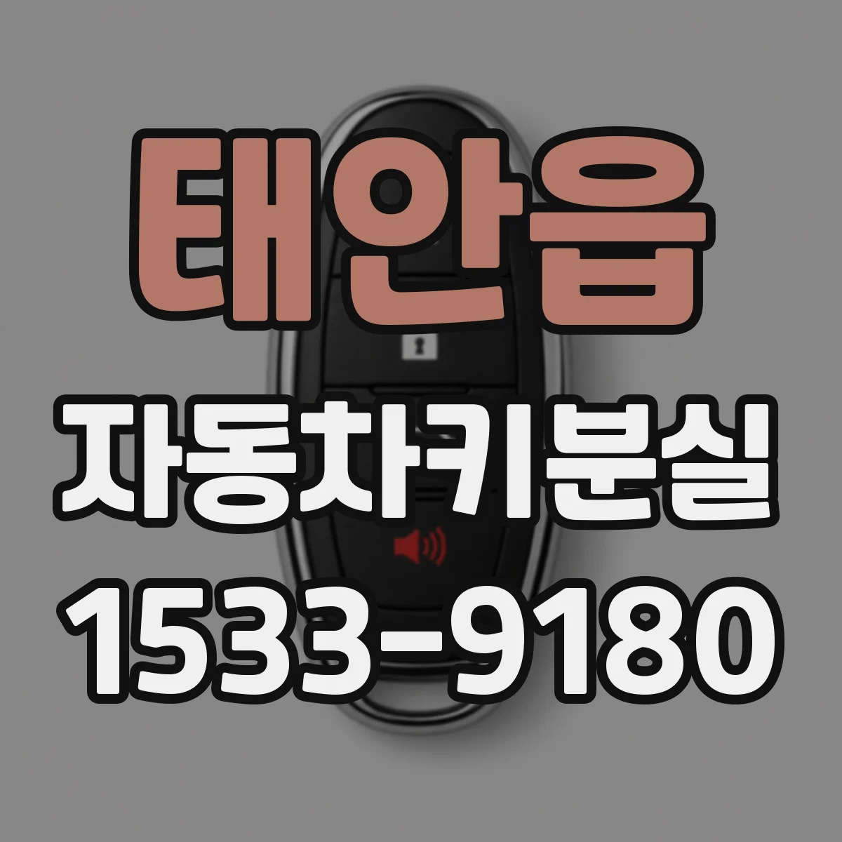 태안읍 자동차키분실