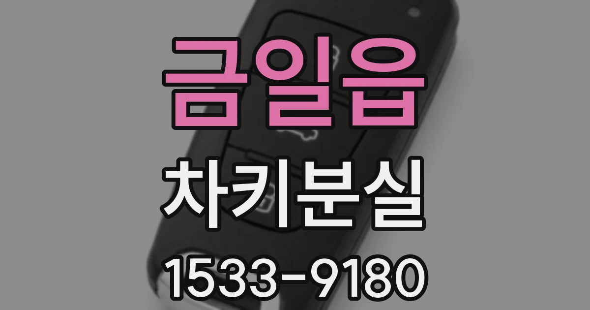 금일읍 차키분실