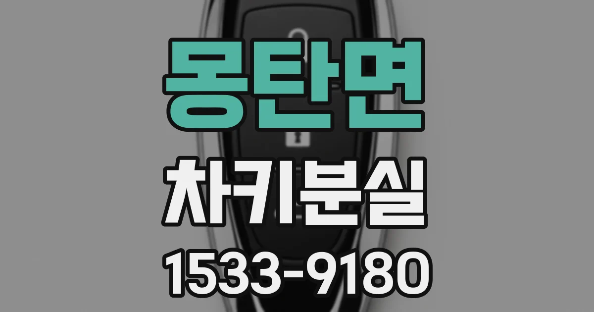 몽탄면 차키분실