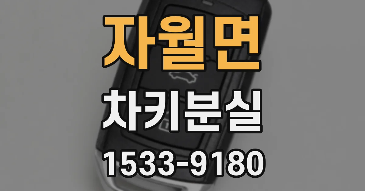 자월면 차키분실