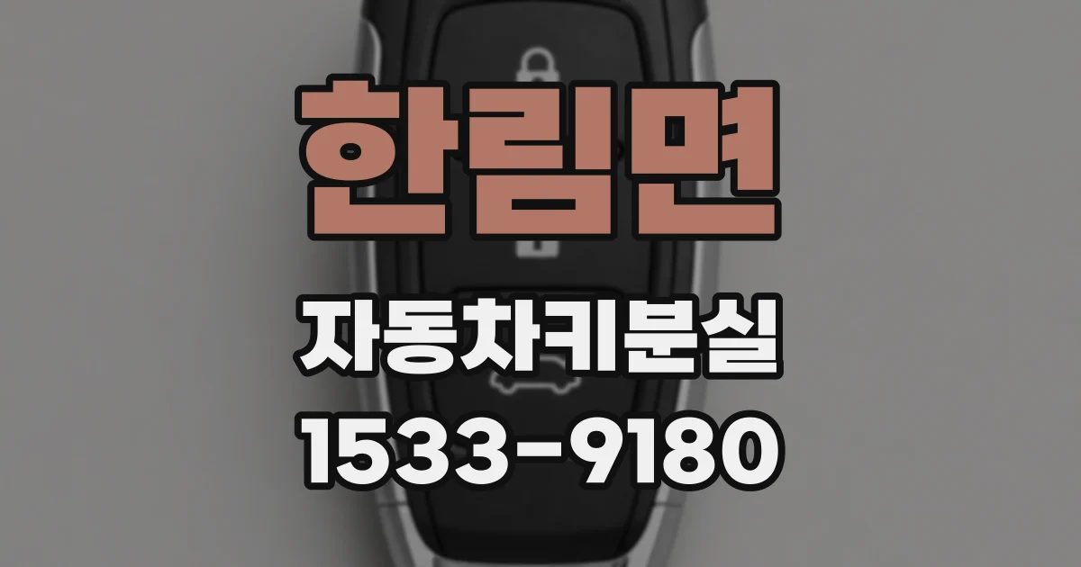 한림면 자동차키분실
