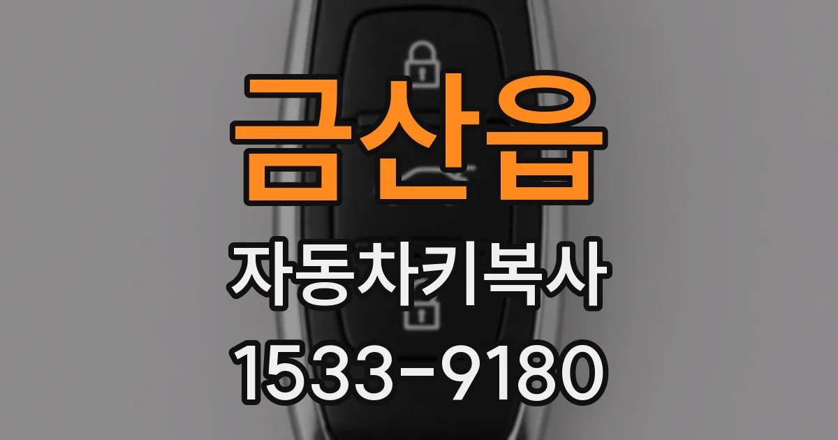 금산읍 자동차키복사