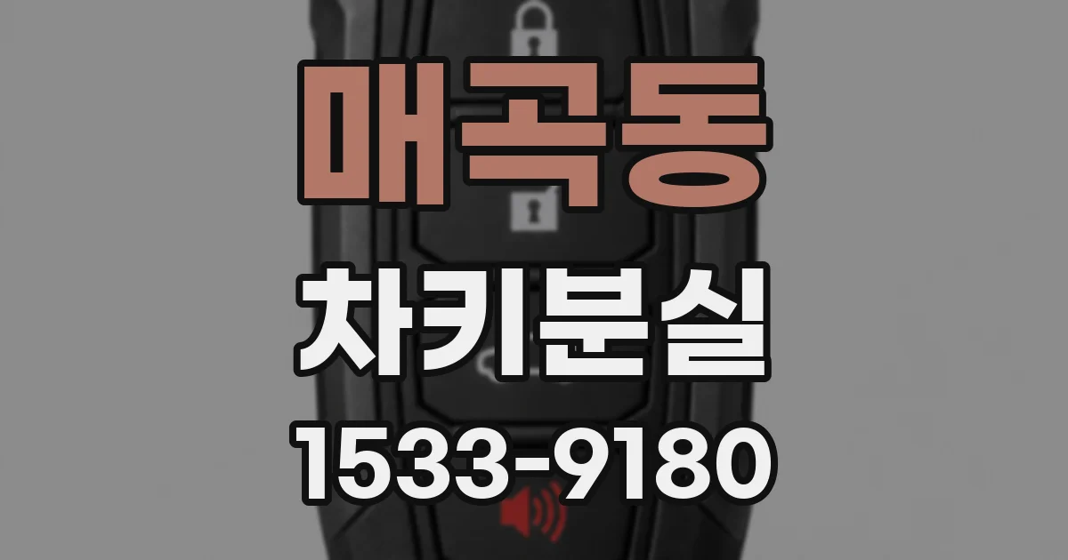 매곡동 차키분실