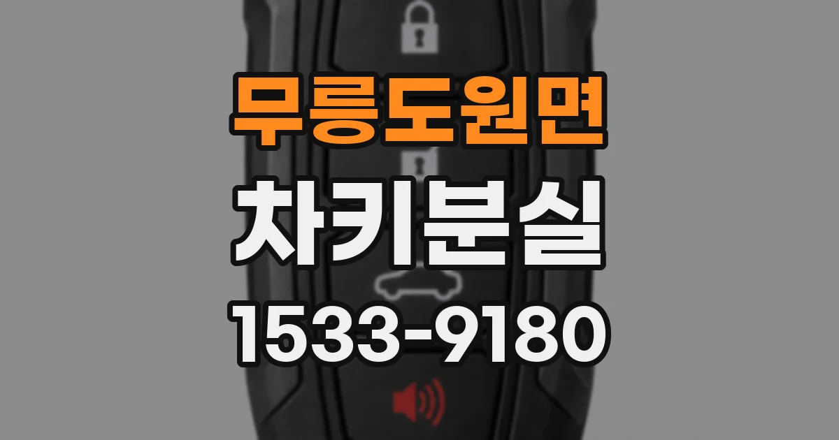 무릉도원면 차키분실