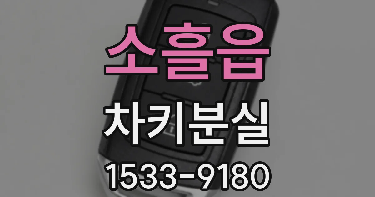 소흘읍 차키분실
