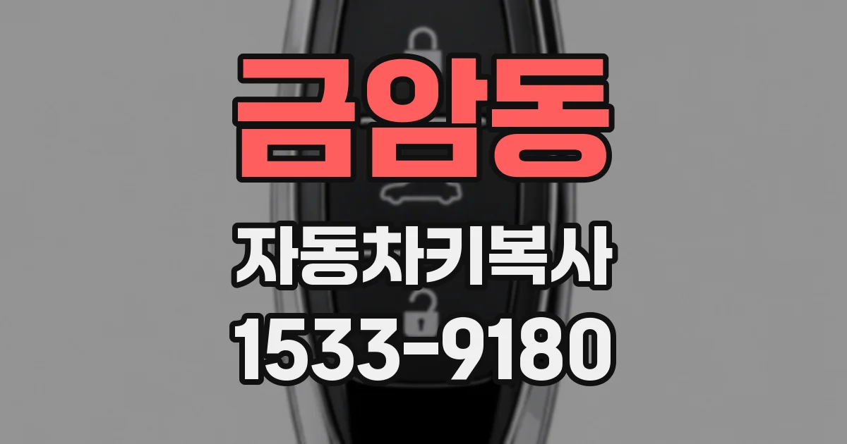 금암동 자동차키복사