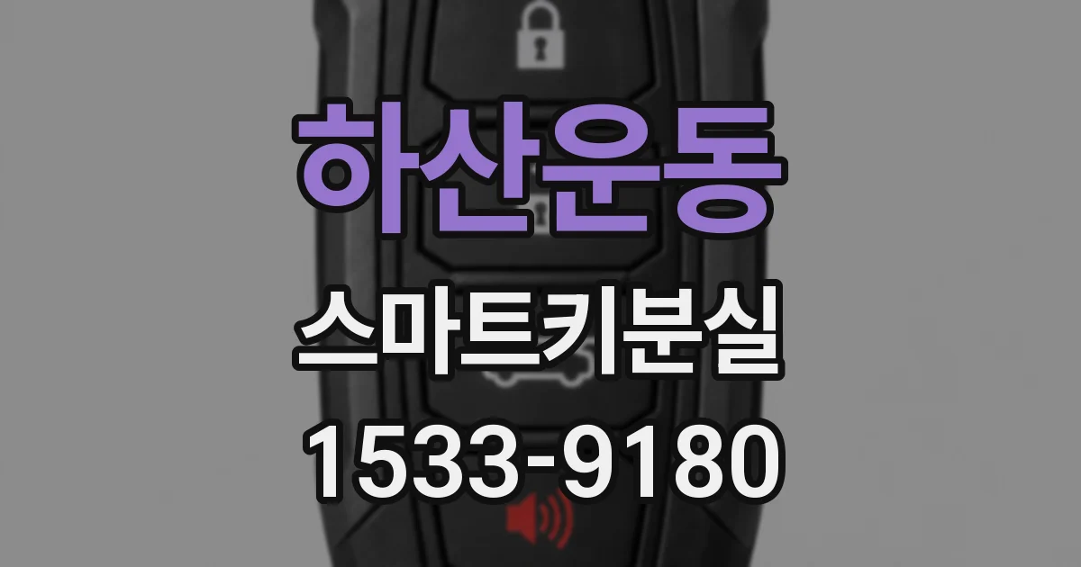 하산운동 스마트키분실