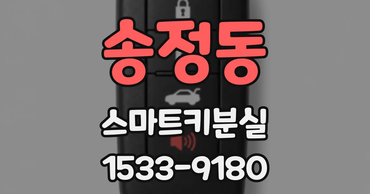 송정동 스마트키분실