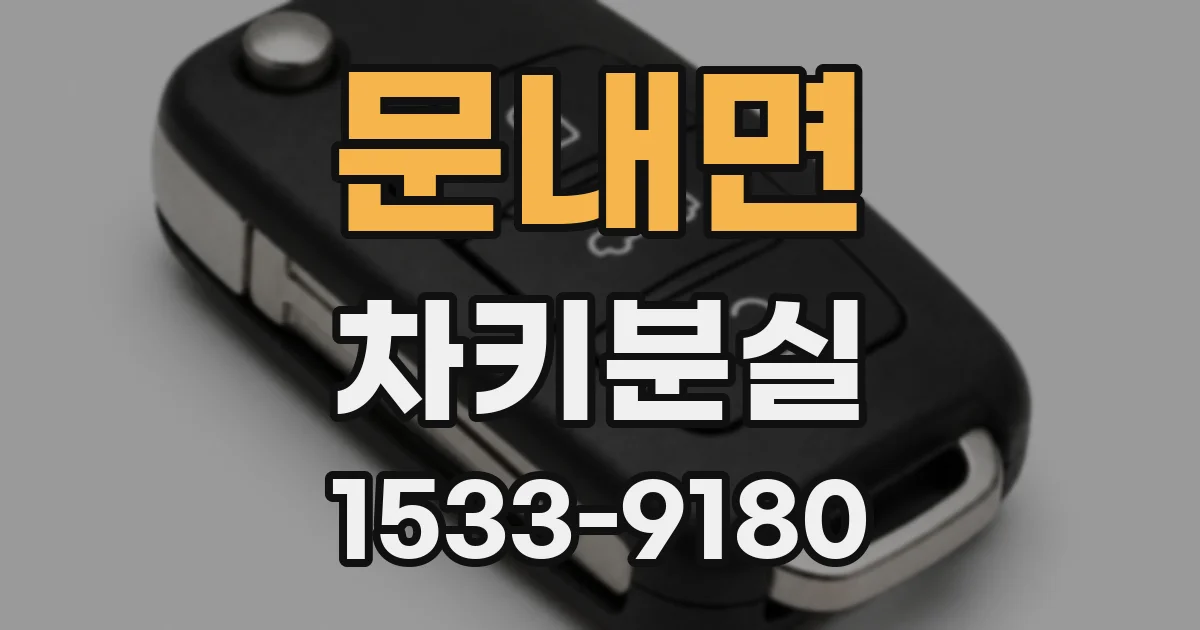 문내면 차키분실