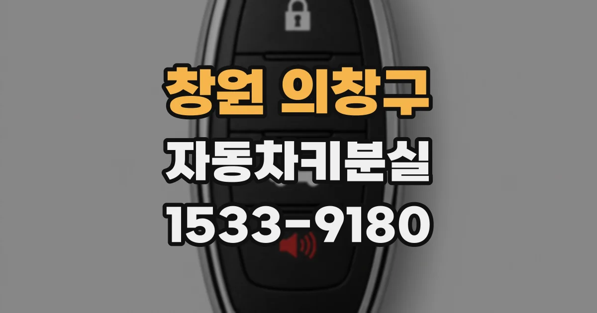 창원 의창구 자동차키분실