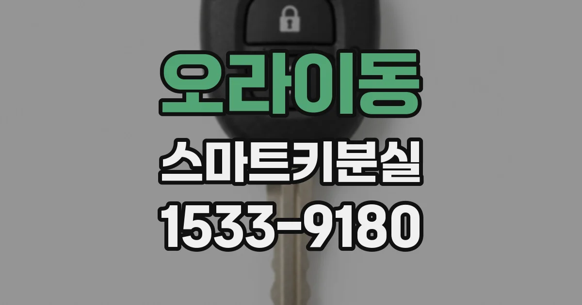 오라이동 스마트키분실