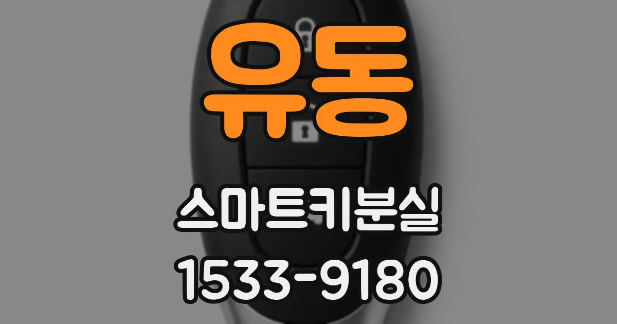 유동 스마트키분실