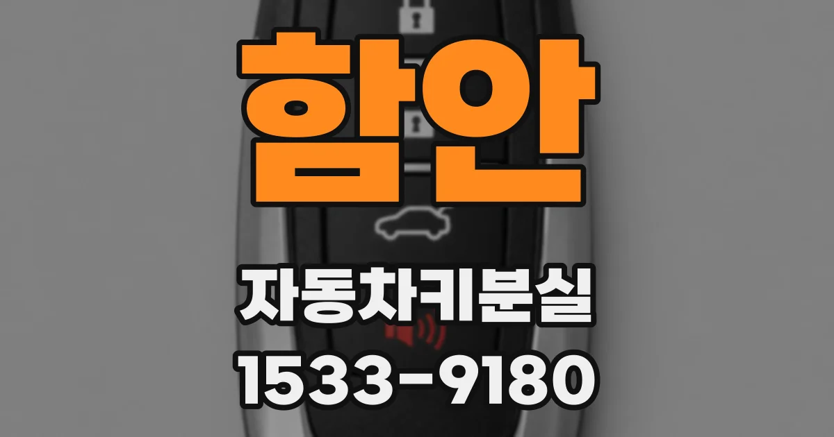 함안 자동차키분실