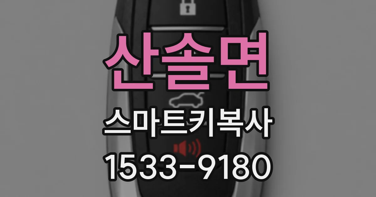 산솔면 스마트키복사