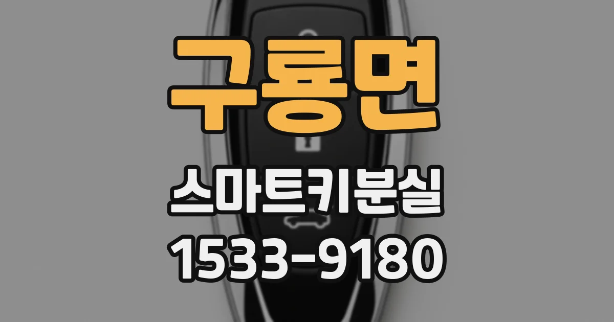구룡면 스마트키분실