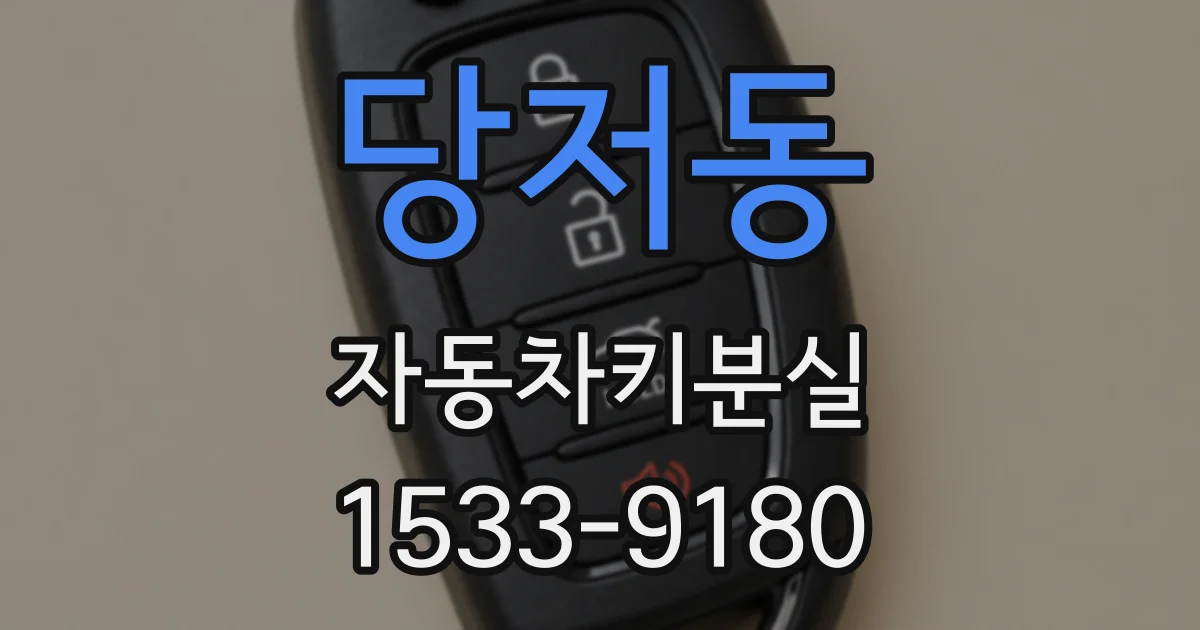 당저동 자동차키분실