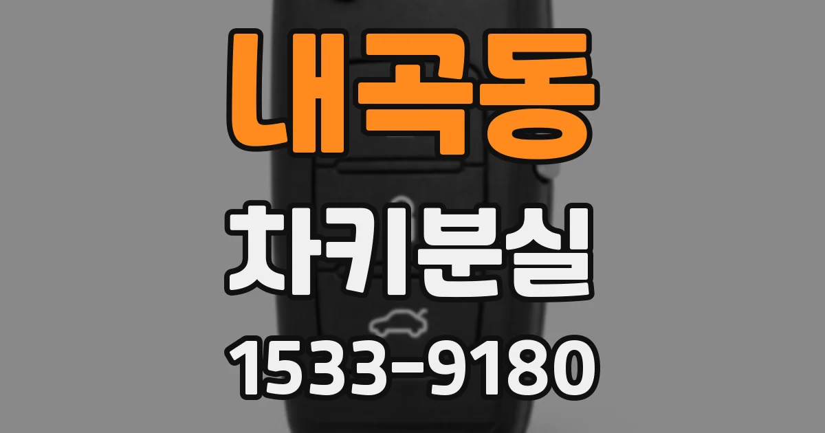 내곡동 차키분실