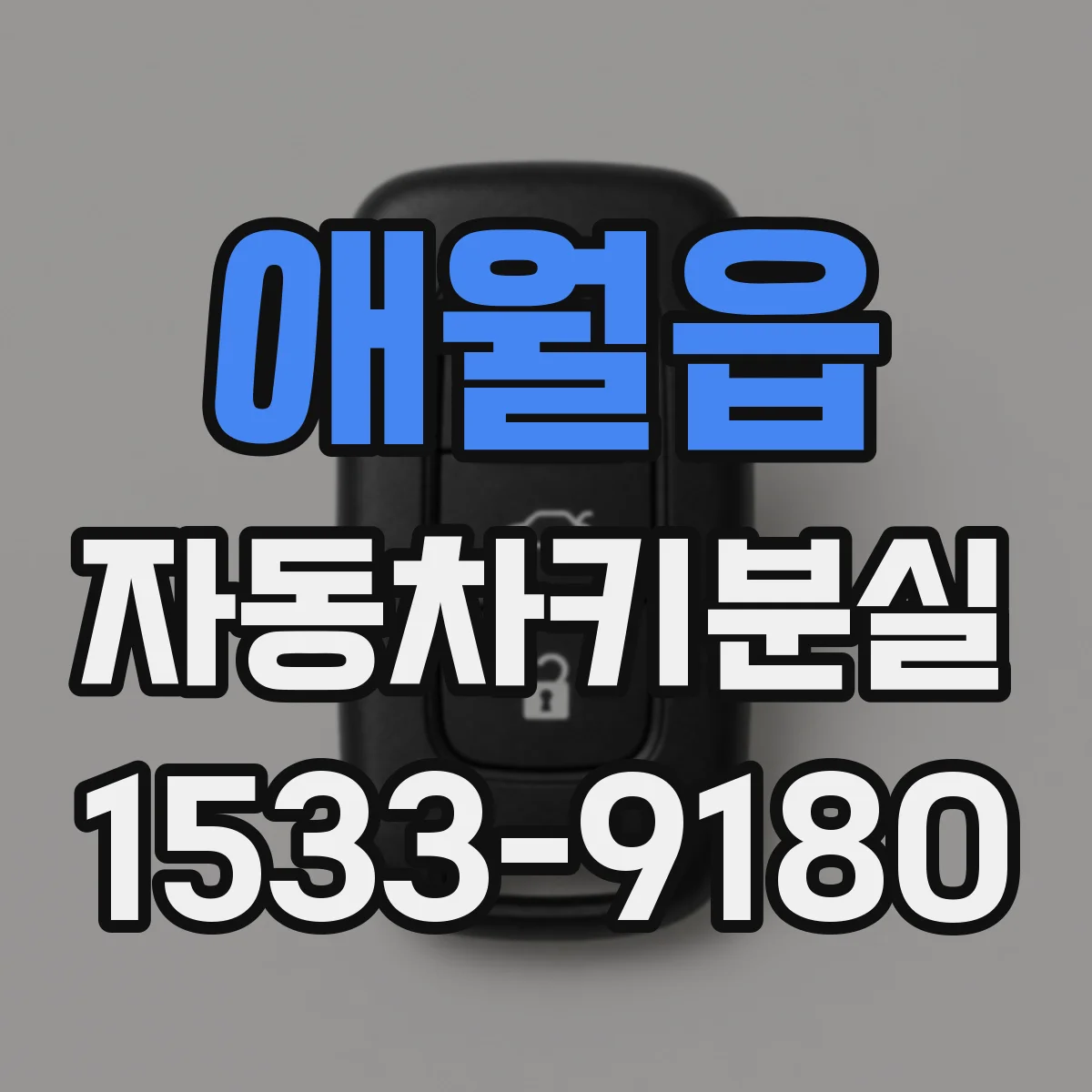 애월읍 자동차키분실