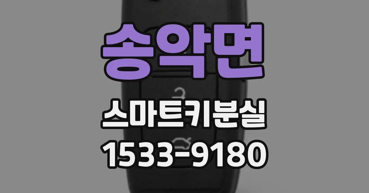 송악면 스마트키분실
