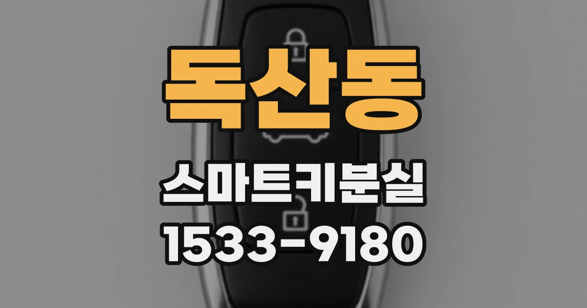 독산동 스마트키분실