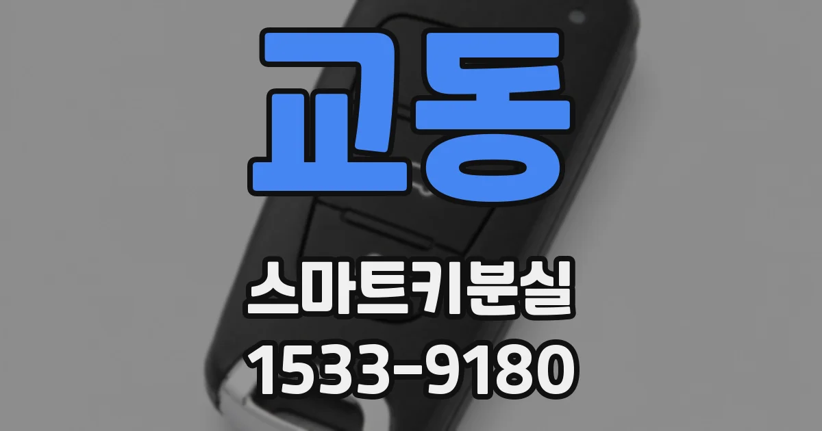 교동 스마트키분실