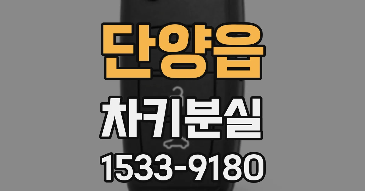 단양읍 차키분실