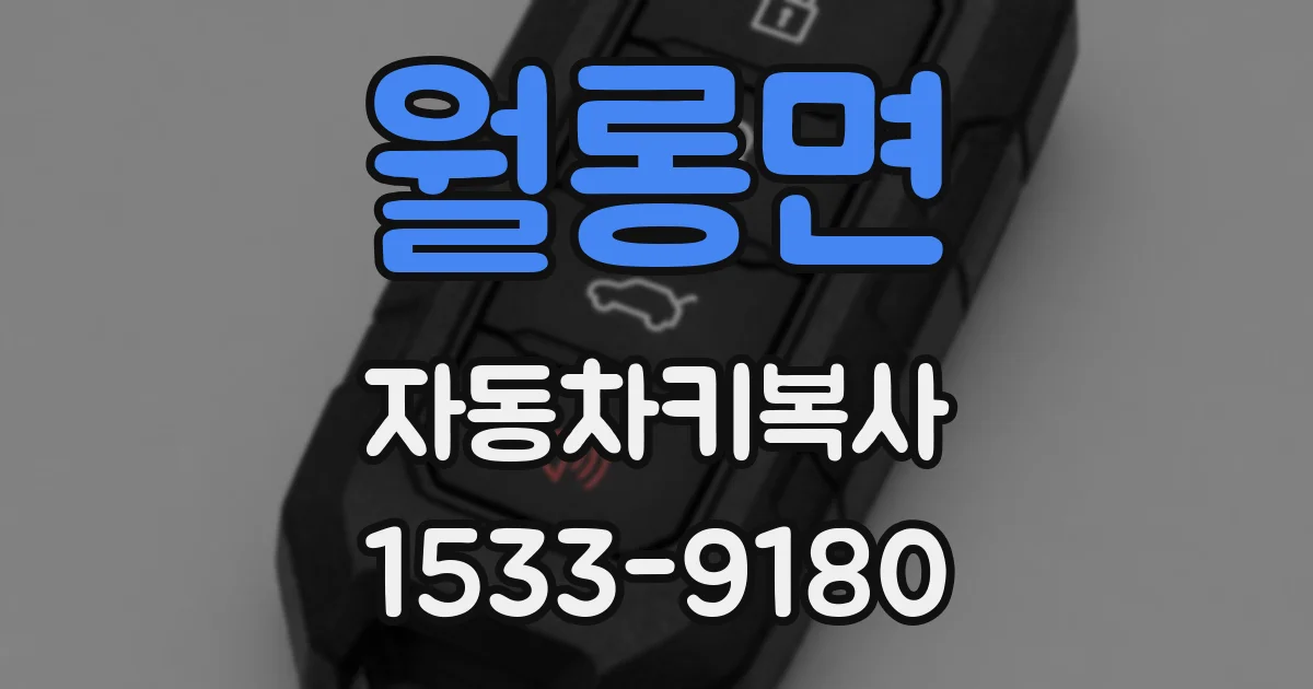 월롱면 자동차키복사