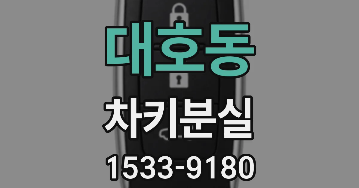 대호동 차키분실