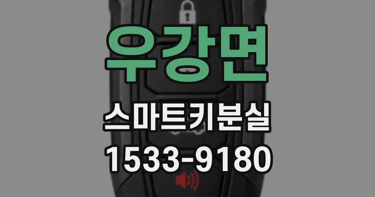 우강면 스마트키분실