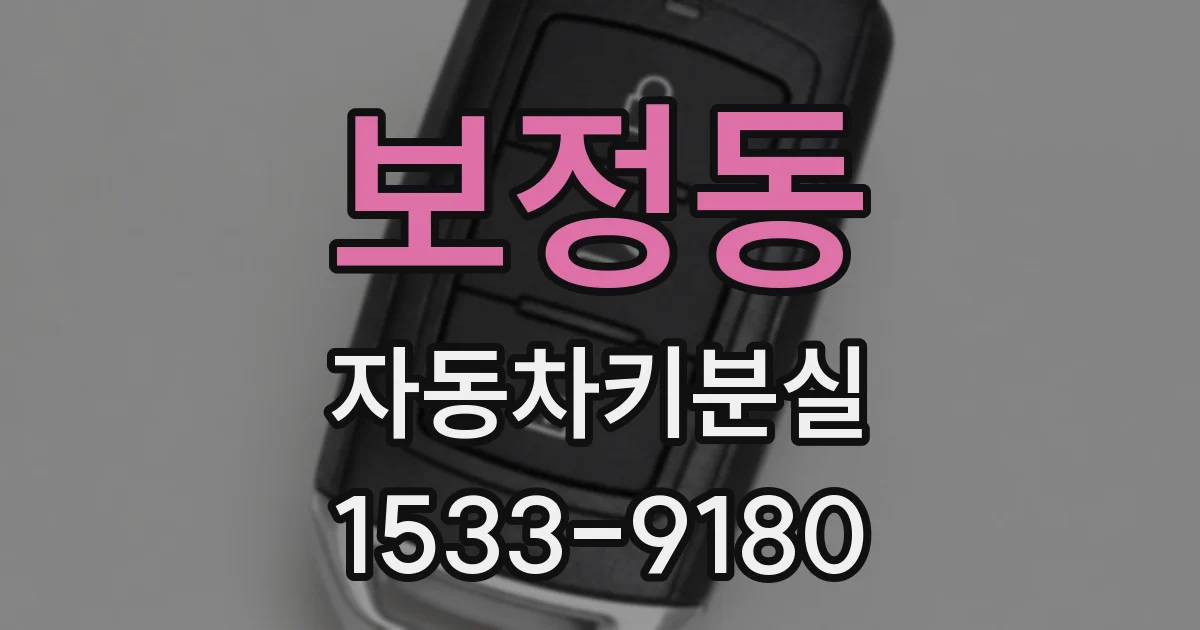 보정동 자동차키분실