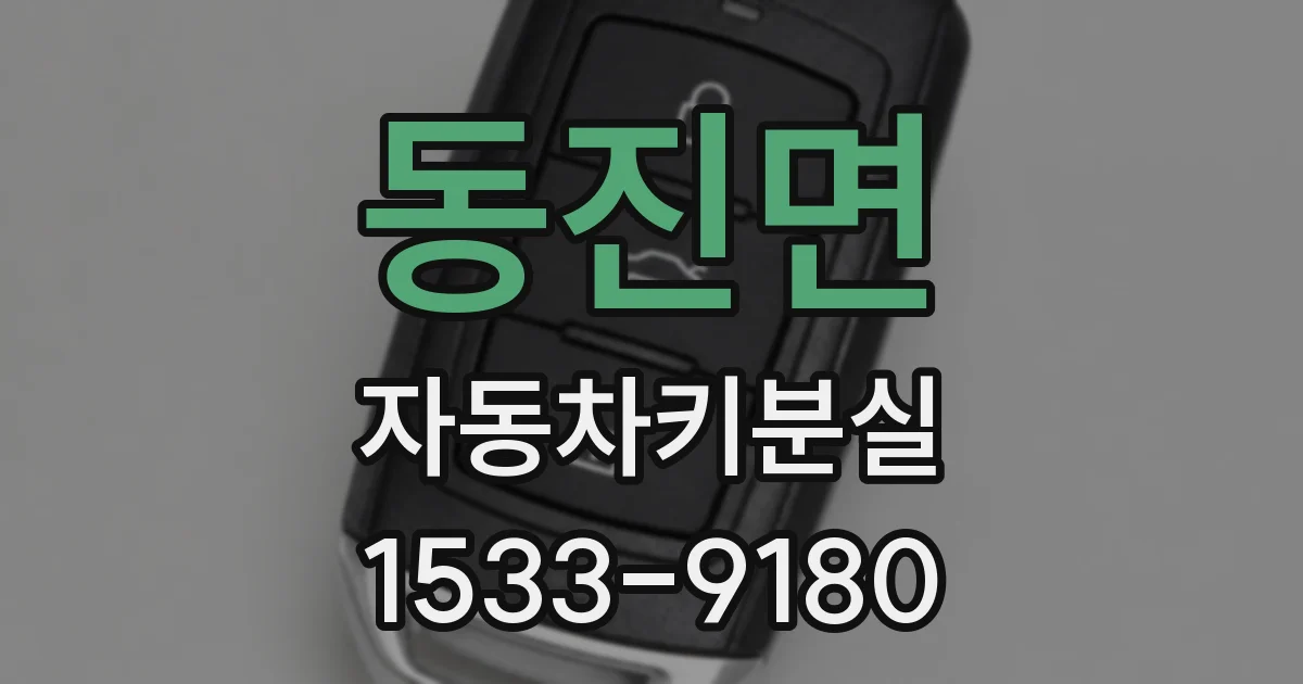 동진면 자동차키분실
