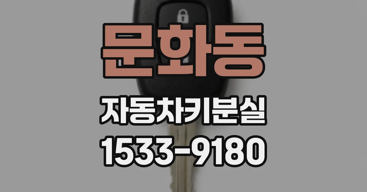 문화동 자동차키분실