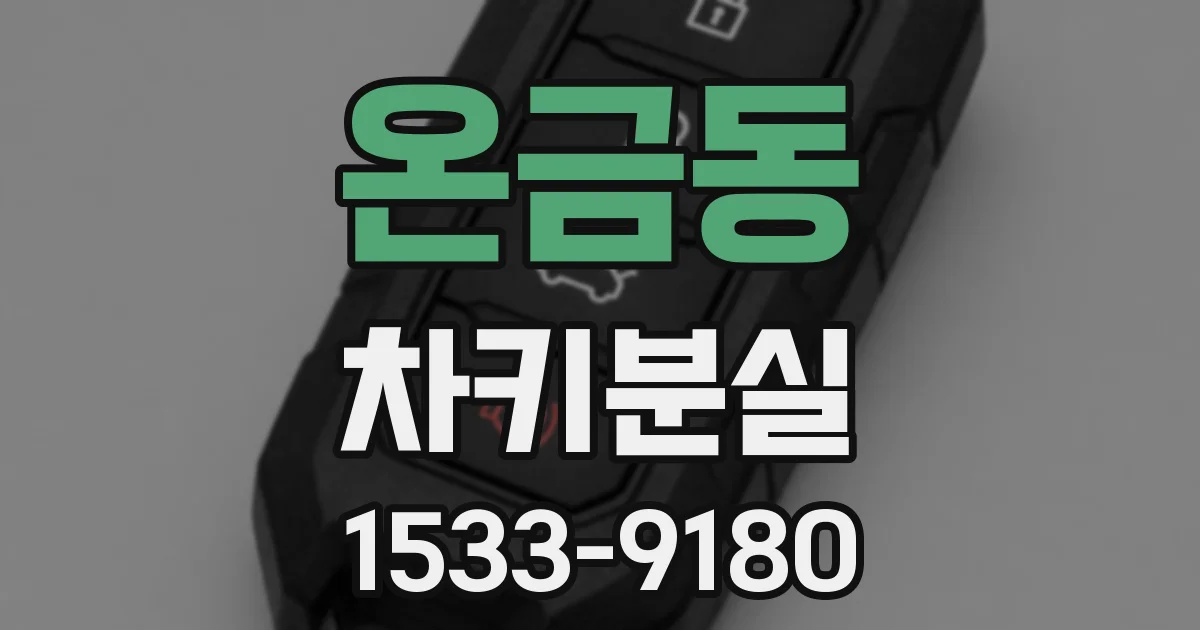 온금동 차키분실