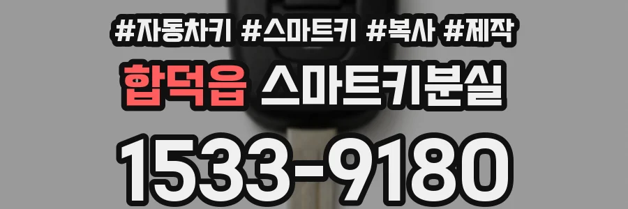 합덕읍 스마트키분실
