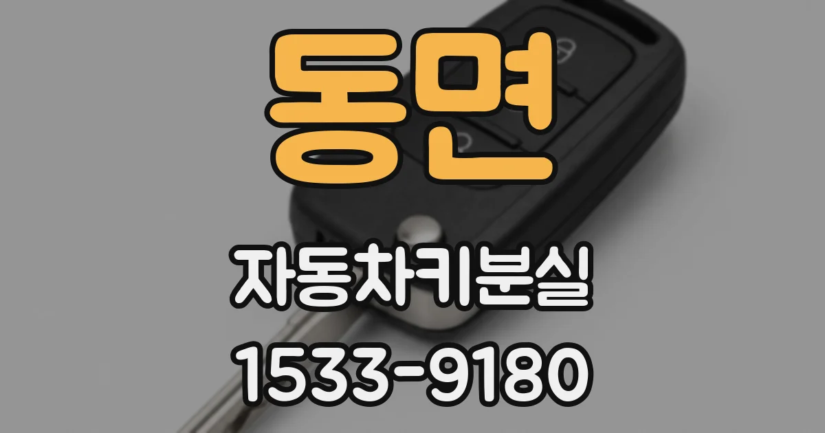 동면 자동차키분실