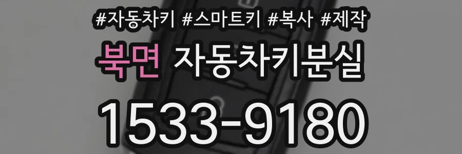 북면 자동차키분실