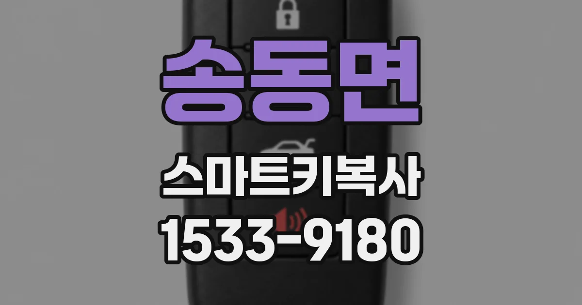 송동면 스마트키복사