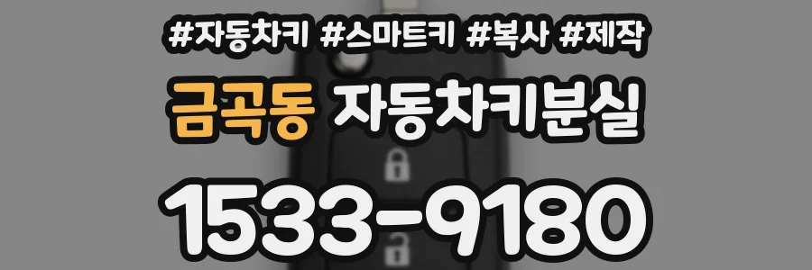 금곡동 자동차키분실