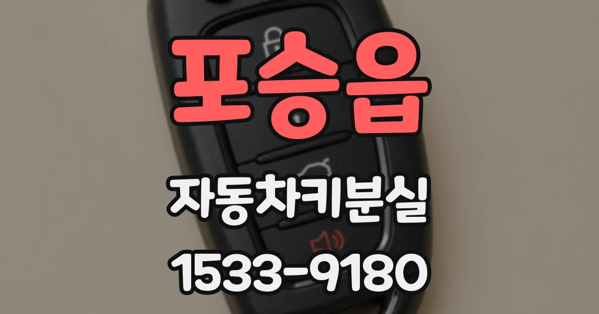 포승읍 자동차키분실