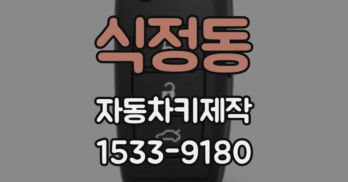식정동 자동차키제작