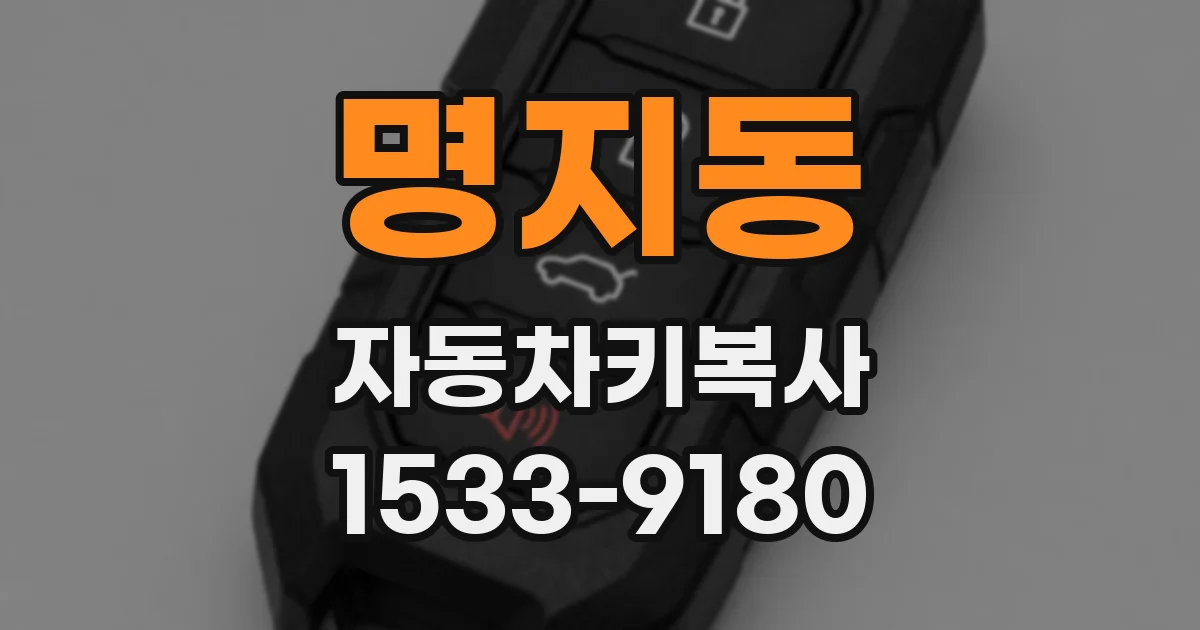 명지동 자동차키복사