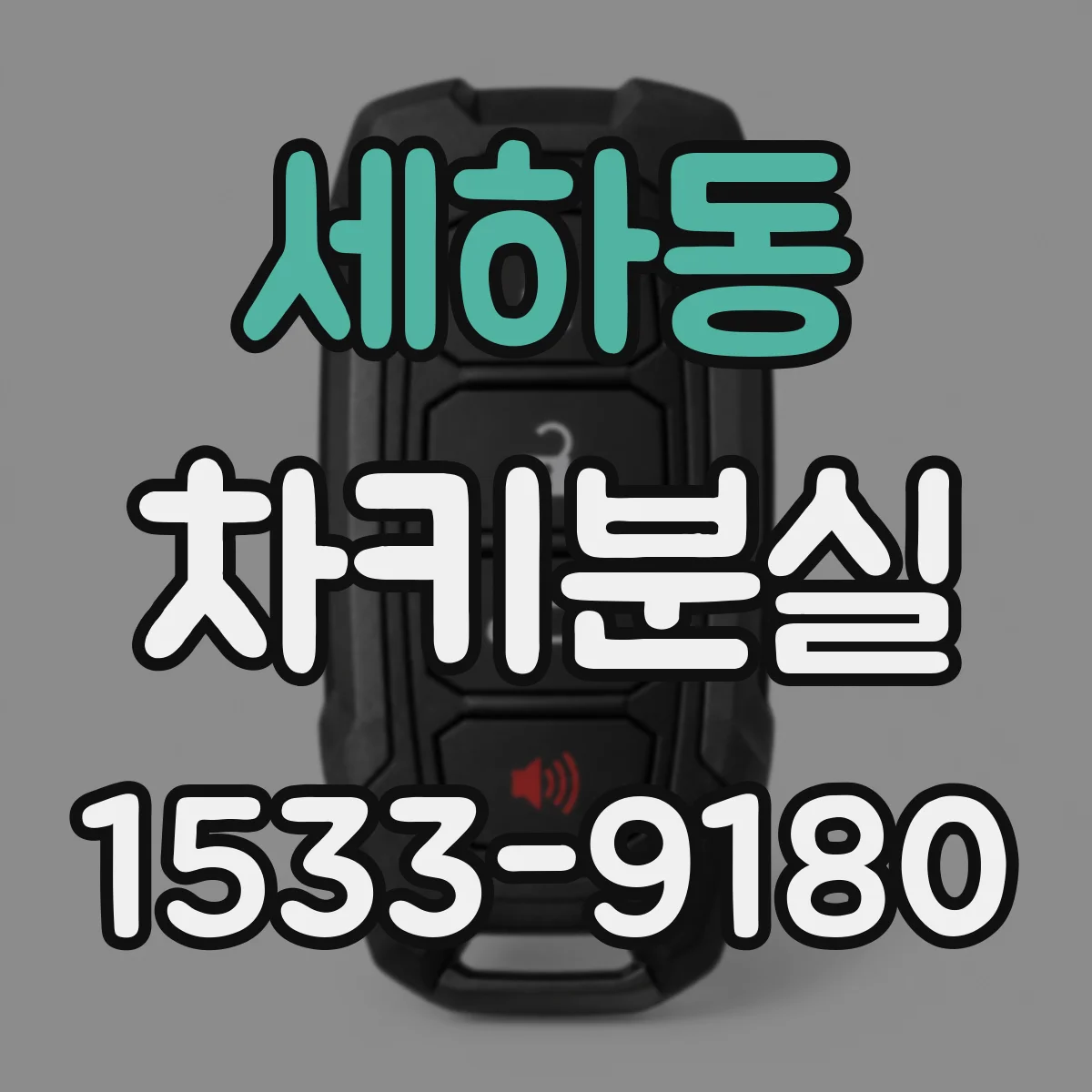 세하동 차키분실