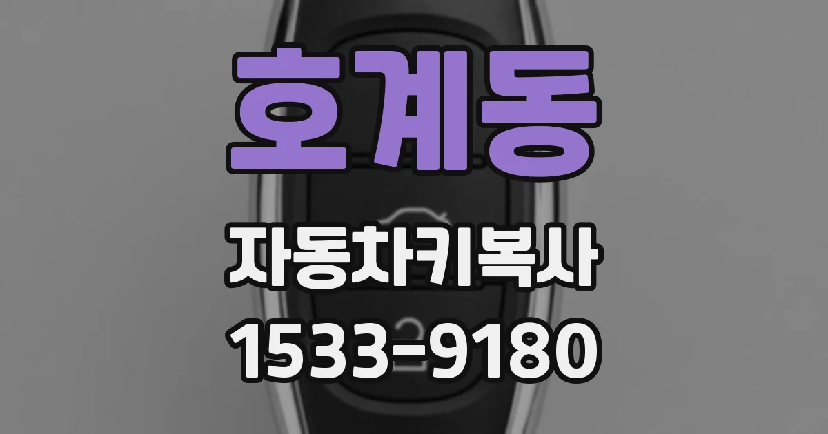 호계동 자동차키복사