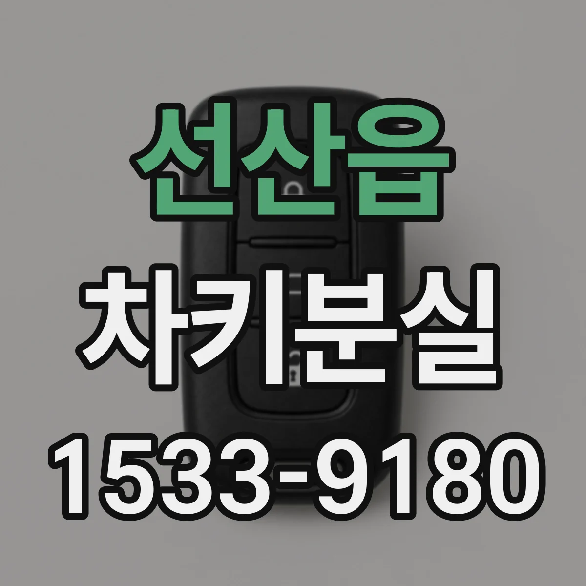 선산읍 차키분실