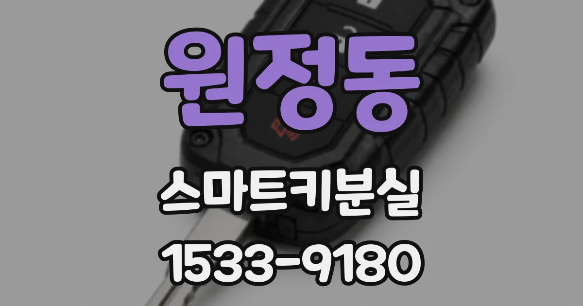 원정동 스마트키분실