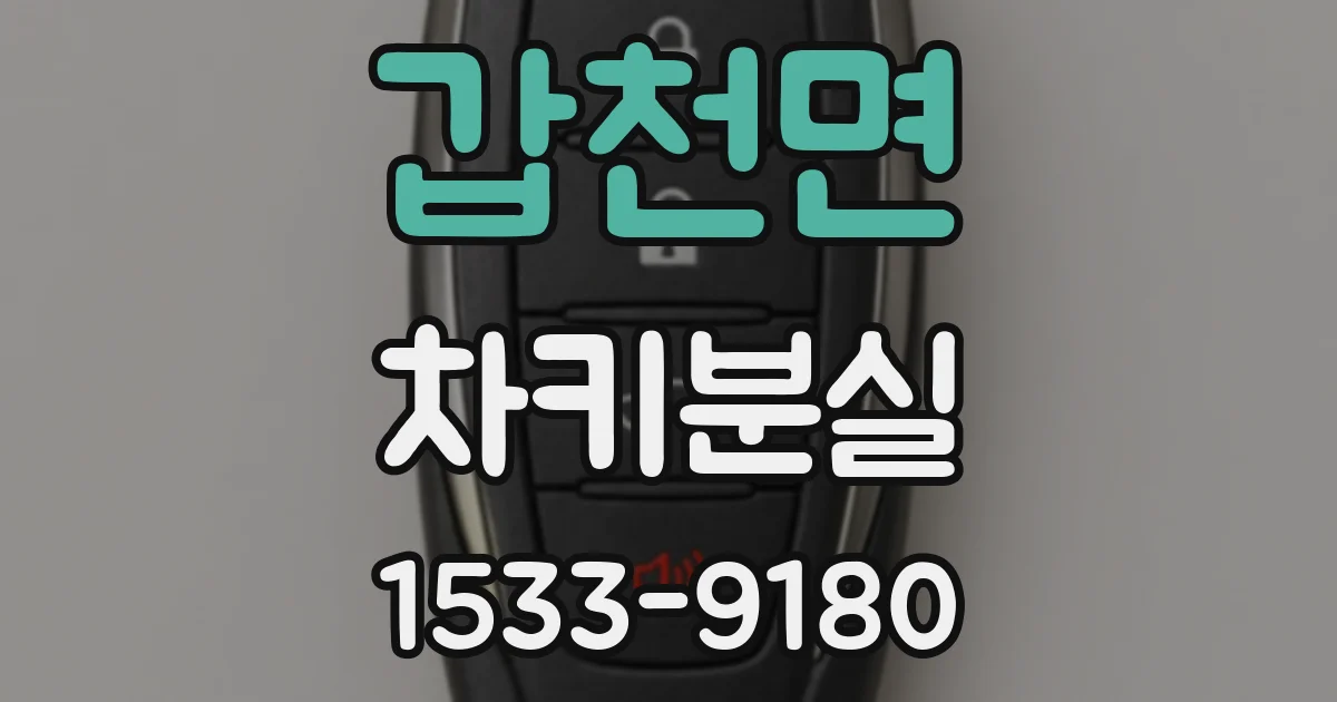 갑천면 차키분실