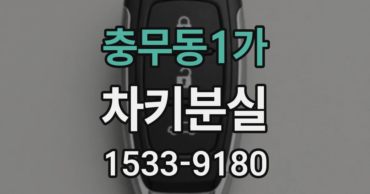충무동1가 차키분실