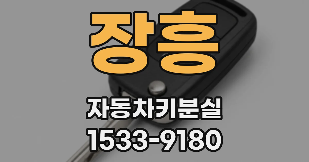 장흥 자동차키분실