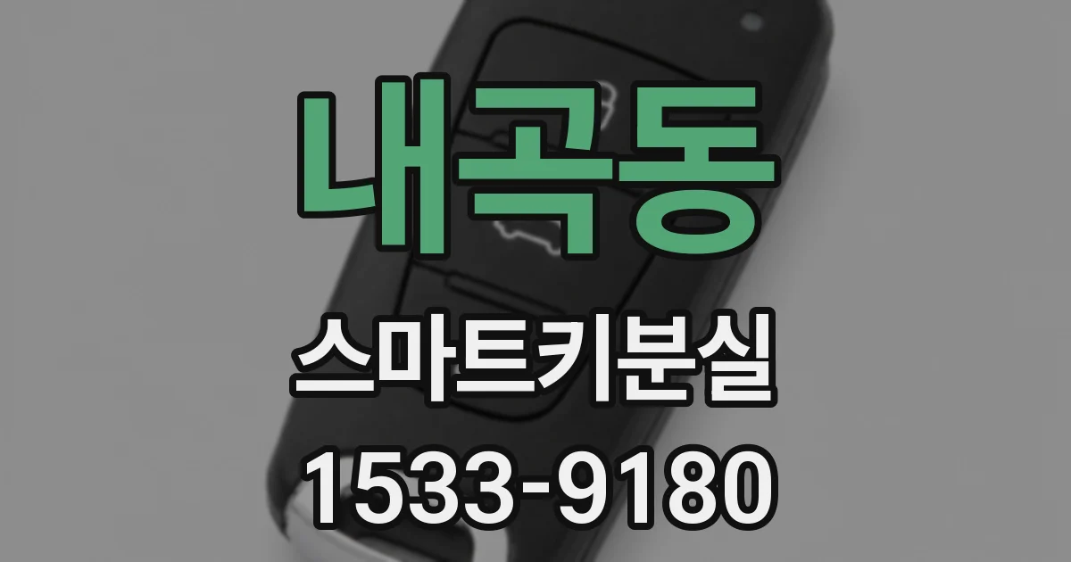 내곡동 스마트키분실